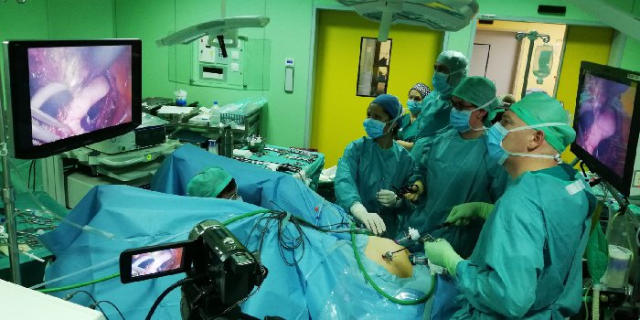 Chirurgia Urologica: giovedì 28 e venerdì 29 marzo, Biella protagonista del Congresso internazionale “SIU LIVE”