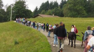 Il gruppo in cammino